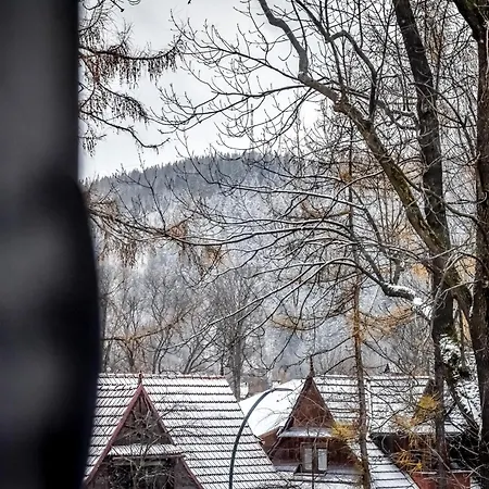 Owczy Kacik