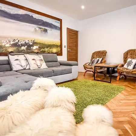 Owczy Kacik * 자코파네