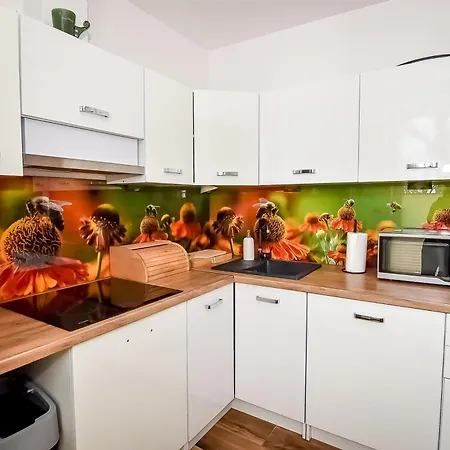 Owczy Kacik アパート ザコパネ