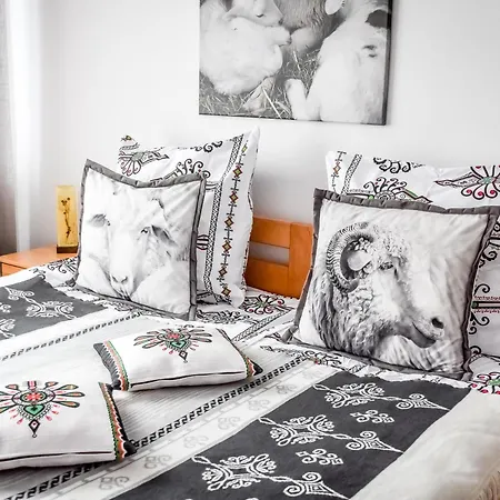 아파트 Owczy Kacik 자코파네