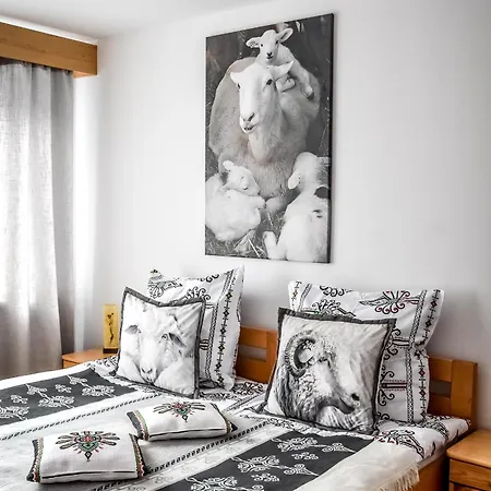 Апартаменты Owczy Kacik *