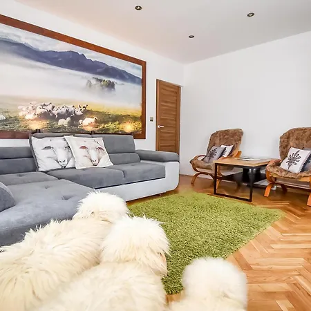 Owczy Kacik アパート ザコパネ