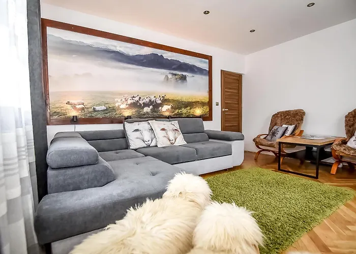 Owczy Kacik Appartamento Zakopane